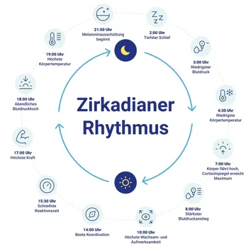 Grafik Zirkadianer Rhythmus